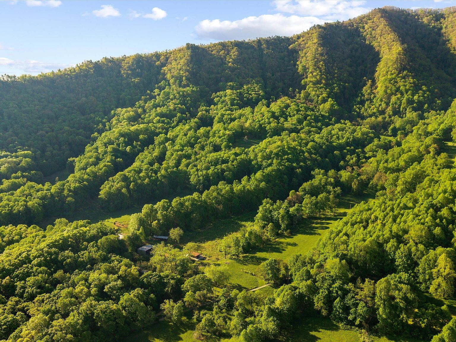 Aerial of a forested hollow on the property in late-afternoon light, golden sun raking across the hardwood canopy, with a small structure tucked into the cleared opening at its base