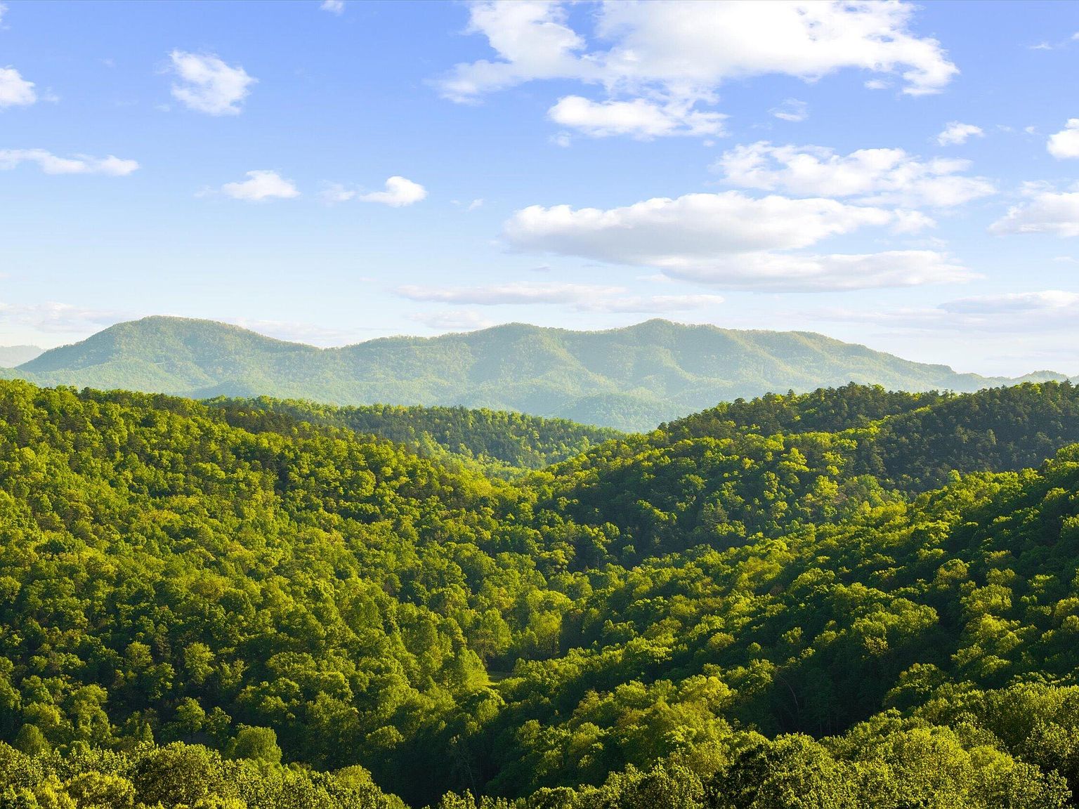 Ridge-top view across 172 Pam Lane in Townsend, Tennessee, with rolling hardwood forest descending toward the layered blue ridges of the Great Smoky Mountains